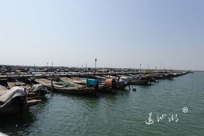 阳澄人家-蟹农码头