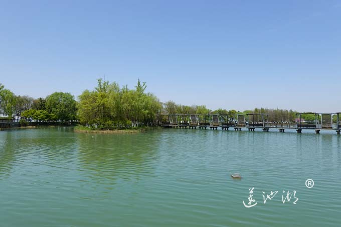 阳澄湖畔四月天-夕鹭园