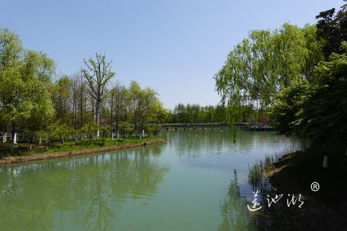 阳澄湖畔四月天-夕鹭园