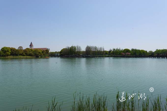 阳澄湖畔四月天-夕鹭园