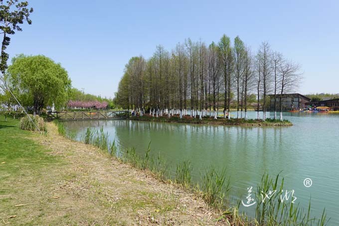 阳澄湖畔四月天-夕鹭园
