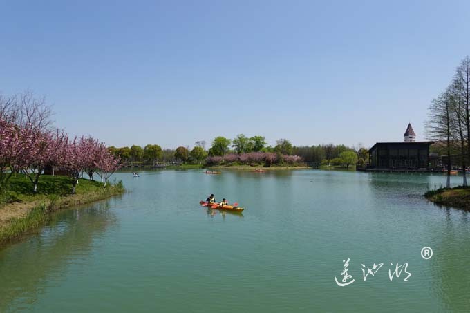 阳澄湖畔四月天-夕鹭园