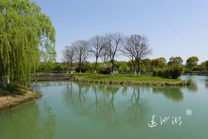 阳澄湖畔四月天-夕鹭园