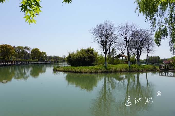 阳澄湖畔四月天-夕鹭园