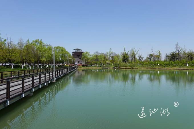 阳澄湖畔四月天-夕鹭园