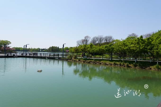 阳澄湖畔四月天-夕鹭园