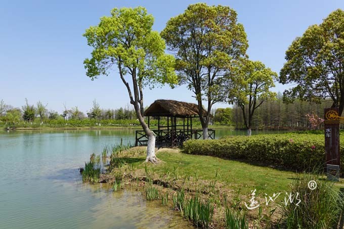 阳澄湖畔四月天-夕鹭园