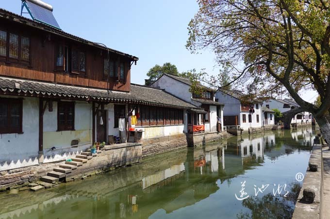 阳澄湖畔四月天-正仪老街