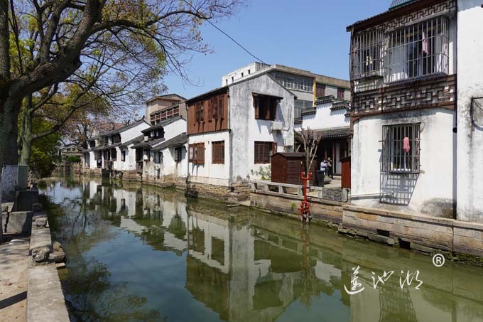 阳澄湖畔四月天-正仪老街