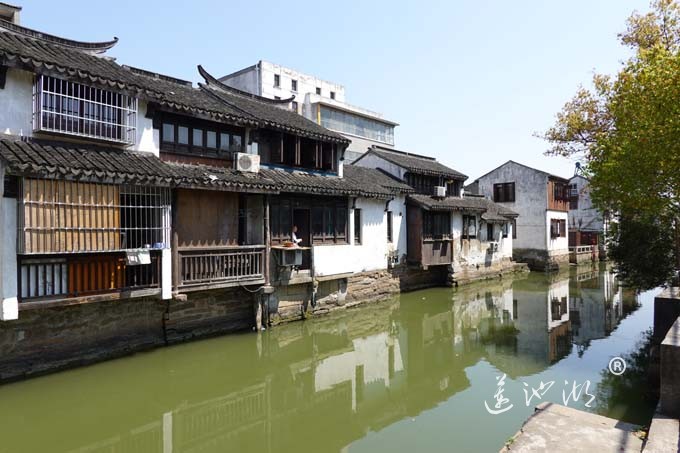 阳澄湖畔四月天-正仪老街