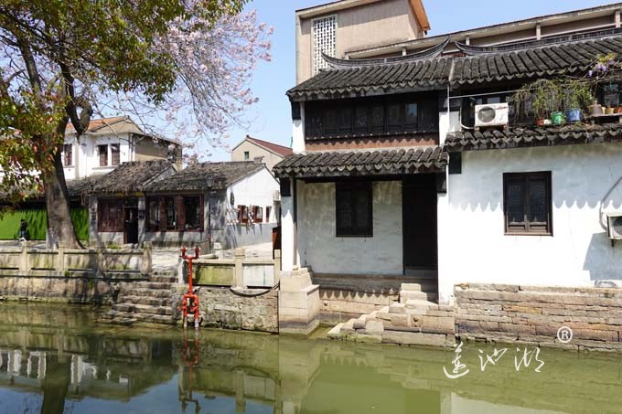 阳澄湖畔四月天-正仪老街