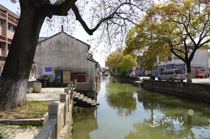 阳澄湖畔四月天-正仪老街