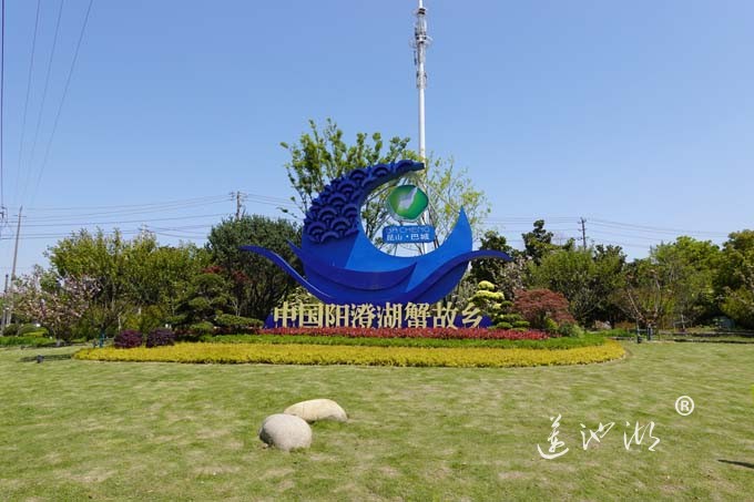 巴城阳澄湖大闸蟹交易市场