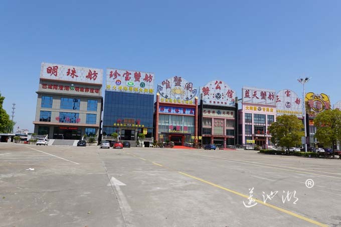 巴城阳澄湖大闸蟹交易市场