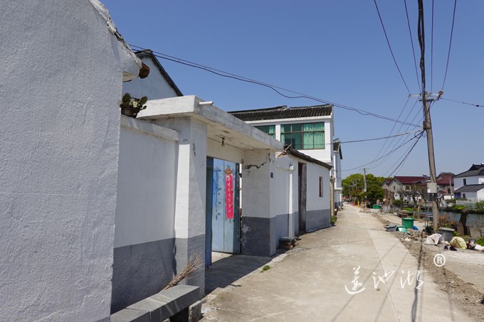 阳澄湖畔四月天-英雄家乡