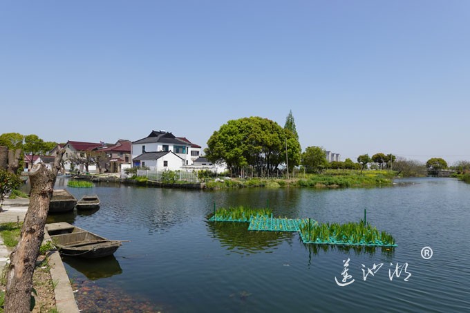 阳澄湖畔四月天-英雄家乡