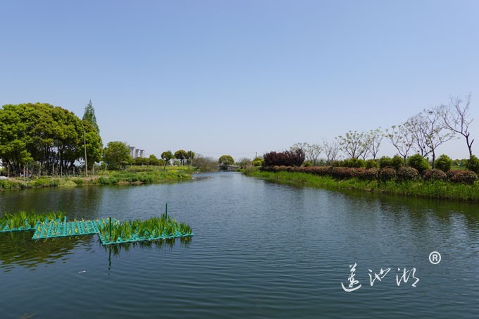 阳澄湖畔四月天-英雄家乡