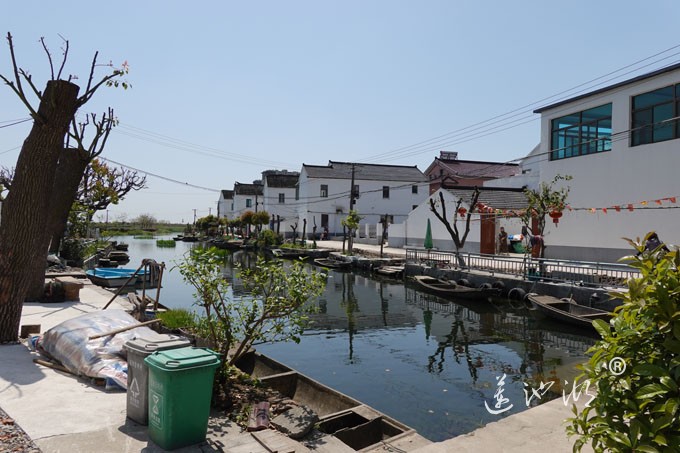 阳澄湖畔四月天-英雄家乡