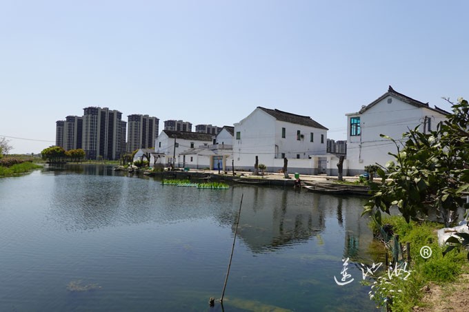 阳澄湖畔四月天-英雄家乡