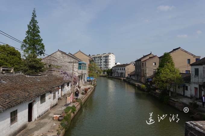 阳澄湖畔四月天-太平老街