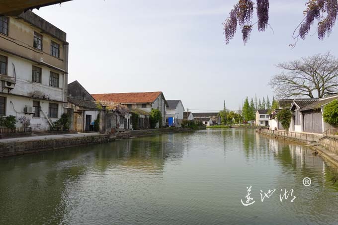 阳澄湖畔四月天-太平老街