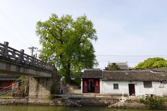 阳澄湖畔四月天-太平老街