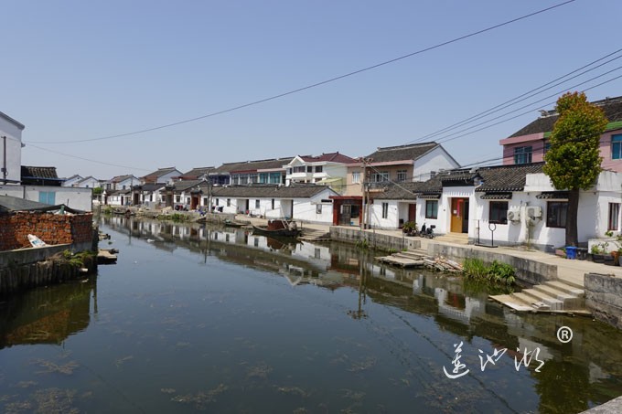 阳澄湖畔四月天-清水村