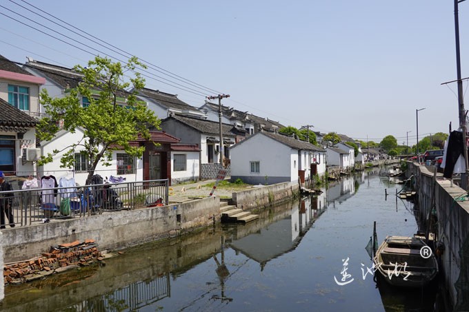 阳澄湖畔四月天-清水村
