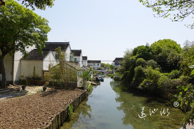 阳澄湖畔四月天-清水村