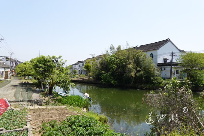 阳澄湖畔四月天-清水村