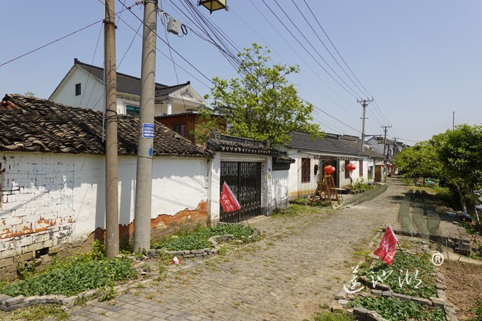 阳澄湖畔四月天-清水村