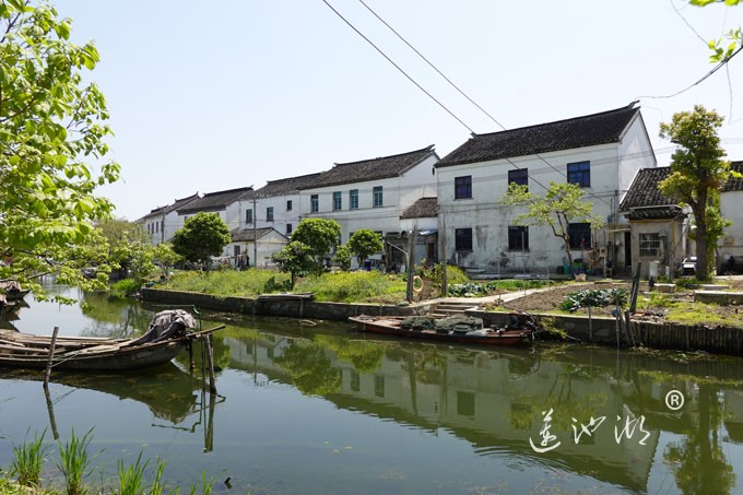 阳澄湖畔四月天-清水村