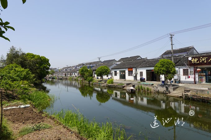 阳澄湖畔四月天-清水村