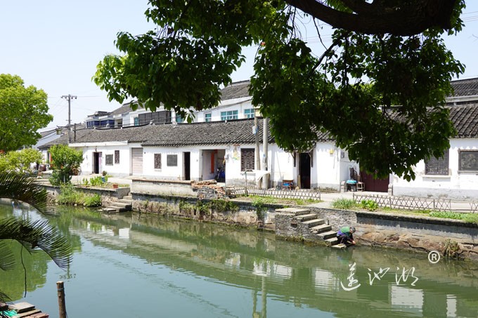 阳澄湖畔四月天-清水村