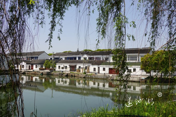 阳澄湖畔四月天-清水村