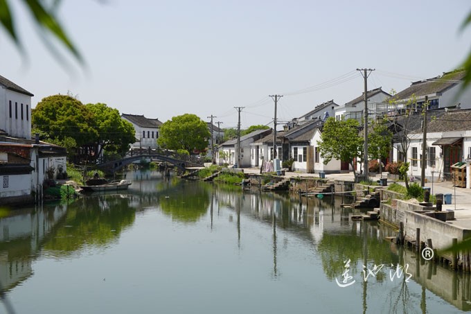 阳澄湖畔四月天-清水村