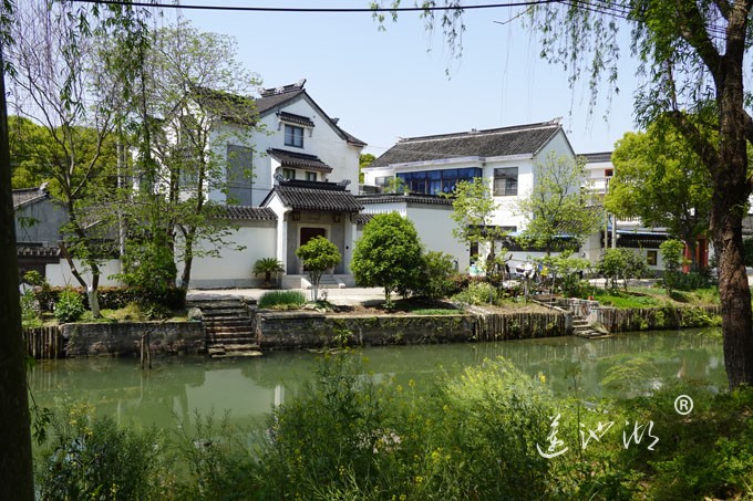 阳澄湖畔四月天-清水村