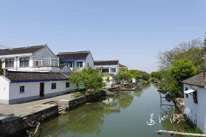 阳澄湖畔四月天-清水村