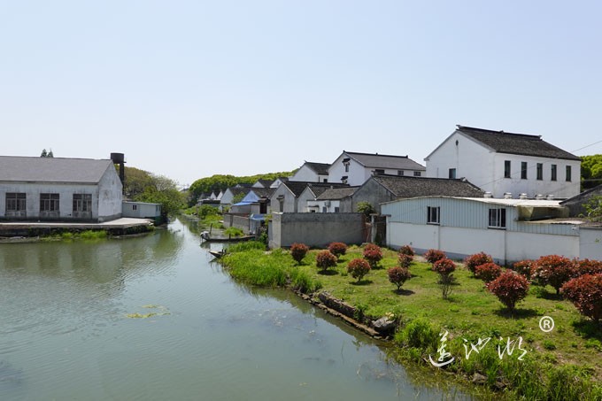 阳澄湖畔四月天-清水村
