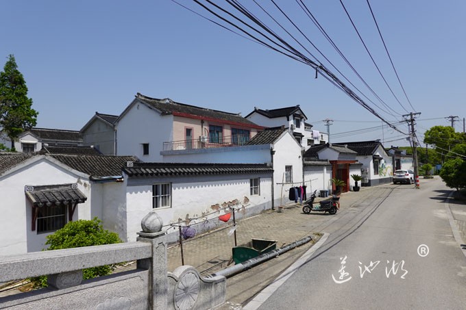 阳澄湖畔四月天-清水村