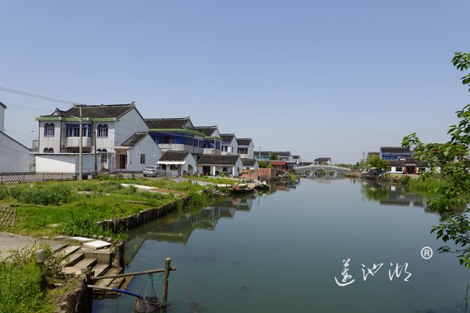 阳澄湖畔四月天-清水村