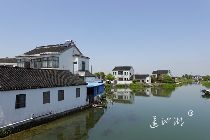 阳澄湖畔四月天-清水村