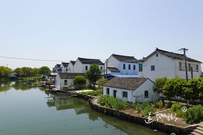 阳澄湖畔四月天-清水村