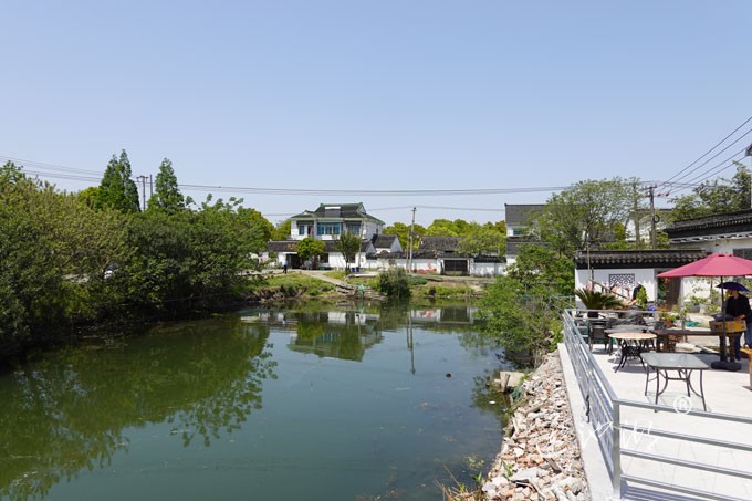 阳澄湖畔四月天-清水村