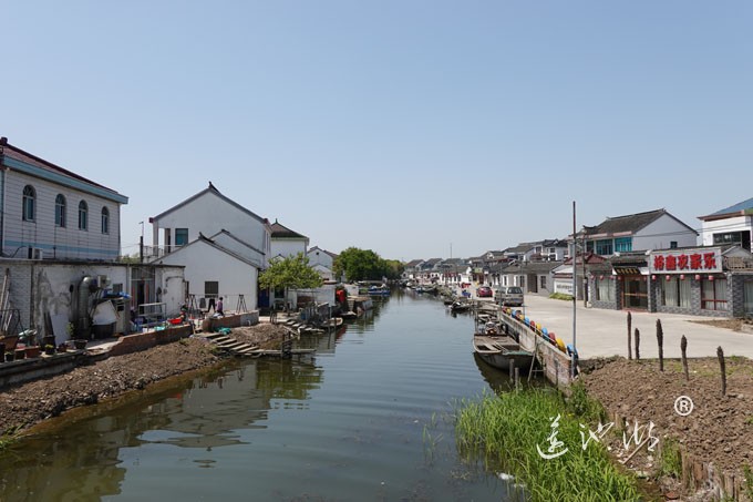 阳澄湖畔四月天-清水村