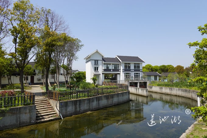 阳澄湖畔四月天-清水村