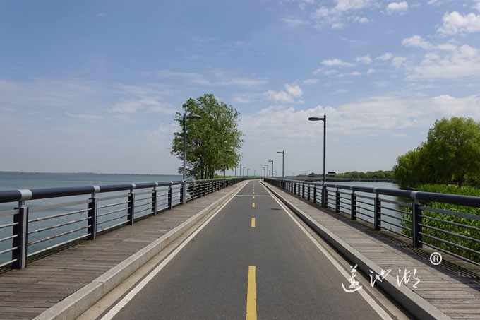 阳澄湖畔四月天-自行车道慢生活