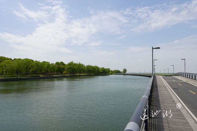 阳澄湖畔四月天-自行车道慢生活