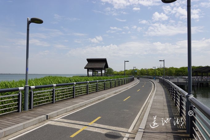 阳澄湖畔四月天-自行车道慢生活