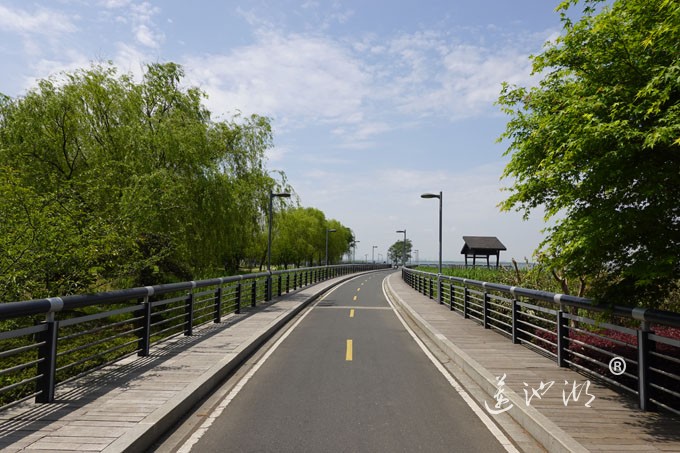 阳澄湖畔四月天-自行车道慢生活